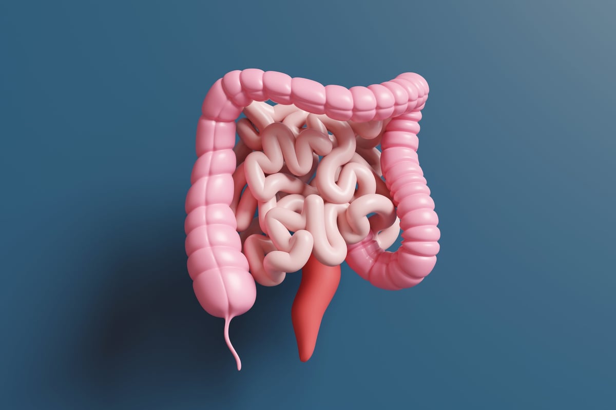Colon