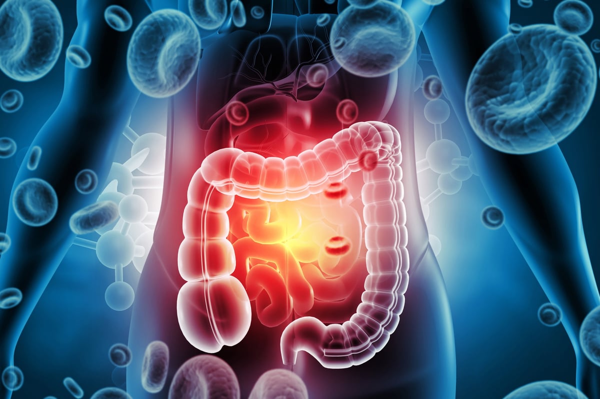 Intestino y sistema digestivo